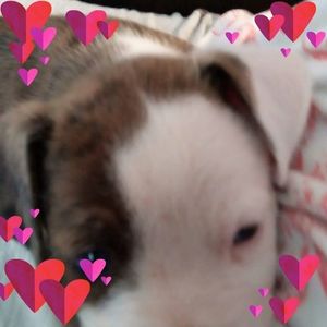 Meet your Posher, Lena